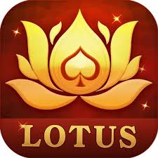 teen patti live 161 version download
